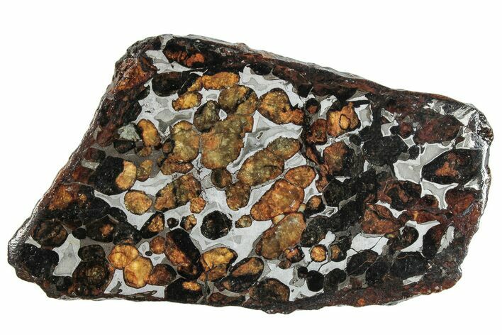 Polished Sericho Pallasite Meteorite ( g) Slice - Kenya #291262